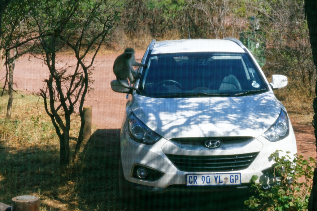 10 - Marakele NP (2).jpg